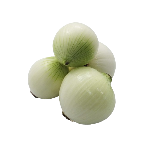 Cebolla cabezona
