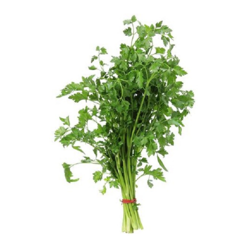 Cilantro