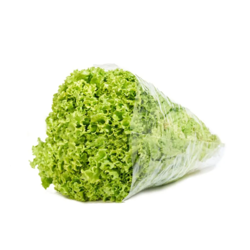 Lechuga