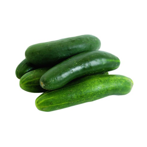 Pepino cohombro