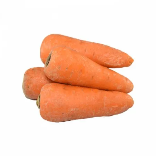 Zanahoria
