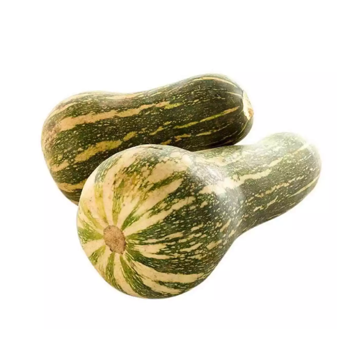 Zapallo